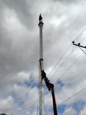 Aerogeneradores